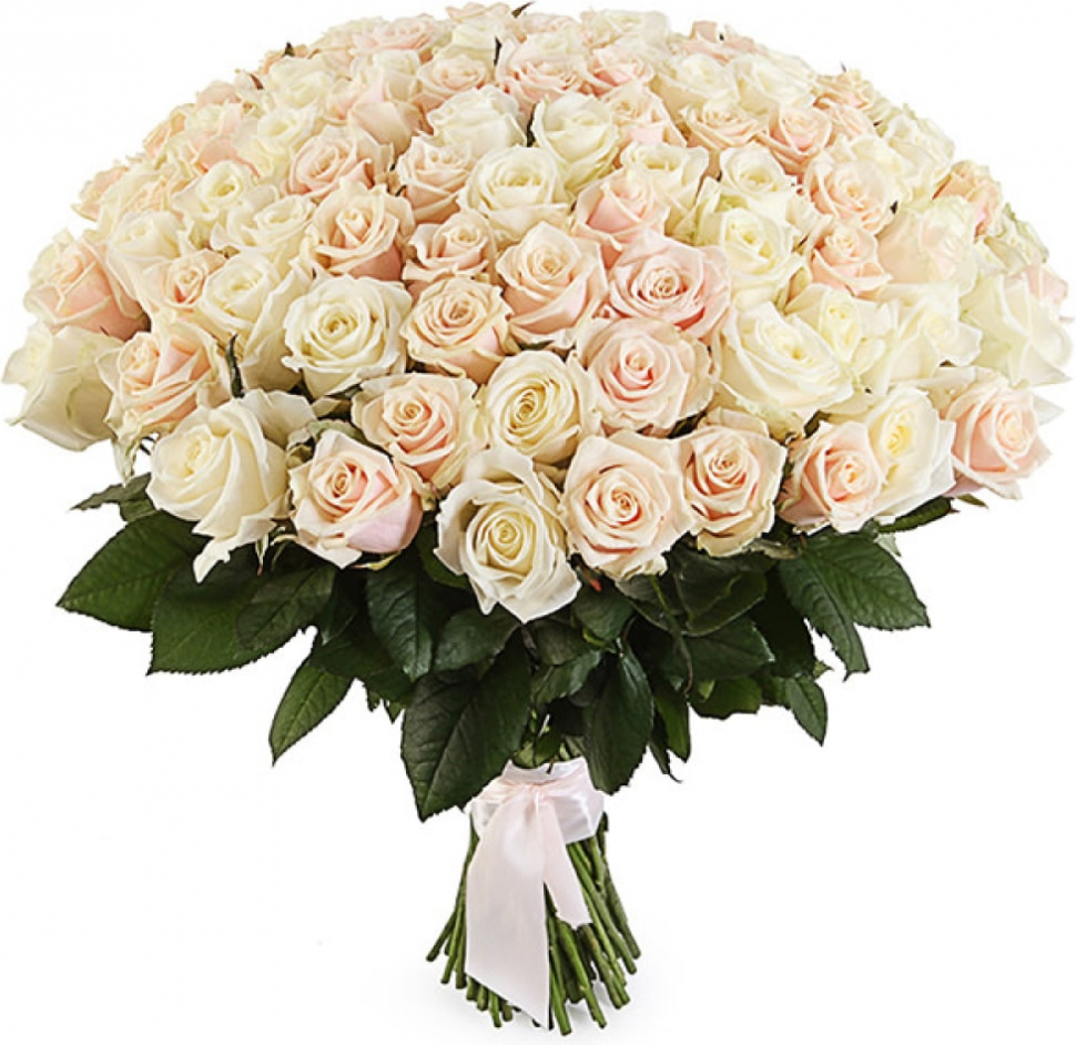 Розы Россия кремовые