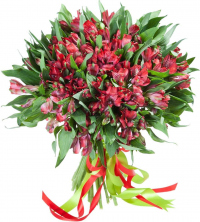 Красные альстромерии Красные альстромерии