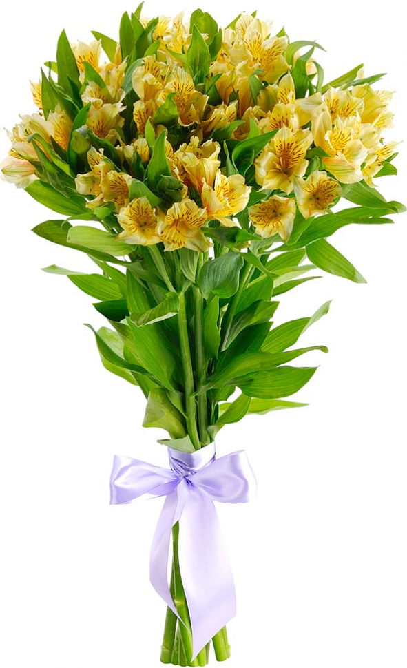 Желтые альстромерии Желтые альстромерии