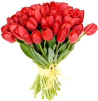 Красные тюльпаны Красные тюльпаны